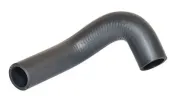 Ladeluftschlauch BUGIAD 88663
