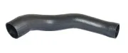 Ladeluftschlauch Drosselklappengehäuse BUGIAD 88711