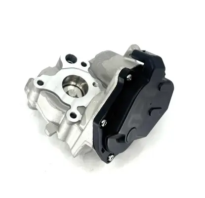 AGR-Ventil BUGIAD BGR13122 Bild AGR-Ventil BUGIAD BGR13122