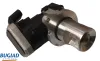 AGR-Ventil BUGIAD BGR13124