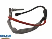 Einspritzeinheit, Ruß-/Partikelfilterregeneration BUGIAD BIU40300