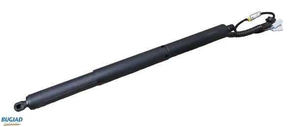 Gasfeder, Koffer-/Laderaum hinten rechts BUGIAD BRD50705