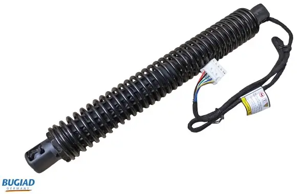 Gasfeder, Koffer-/Laderaum hinten rechts BUGIAD BRD50710