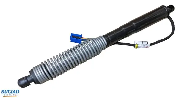 Gasfeder, Koffer-/Laderaum hinten rechts BUGIAD BRD50711