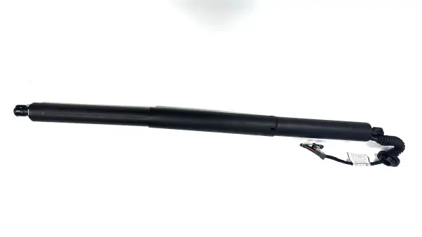 Gasfeder, Koffer-/Laderaum hinten rechts BUGIAD BRD50732