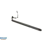 Gasfeder, Koffer-/Laderaum hinten rechts BUGIAD BRD50734