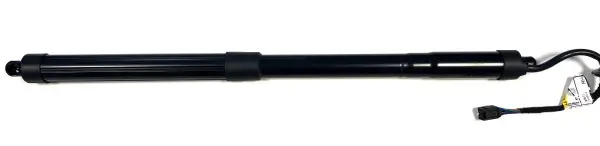 Gasfeder, Koffer-/Laderaum hinten rechts BUGIAD BRD50744
