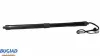 Gasfeder, Koffer-/Laderaum hinten links BUGIAD BRD50745