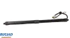 Gasfeder, Koffer-/Laderaum hinten rechts BUGIAD BRD50746