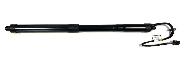 Gasfeder, Koffer-/Laderaum hinten links BUGIAD BRD50747