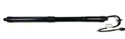 Gasfeder, Koffer-/Laderaum hinten links BUGIAD BRD50747
