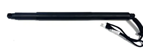 Gasfeder, Koffer-/Laderaum hinten rechts BUGIAD BRD50753