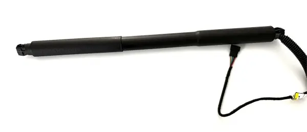 Gasfeder, Koffer-/Laderaum hinten links BUGIAD BRD50754