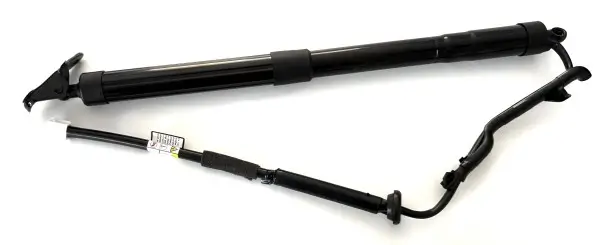 Gasfeder, Koffer-/Laderaum hinten links BUGIAD BRD50756