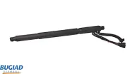 Gasfeder, Koffer-/Laderaum hinten links BUGIAD BRD50762