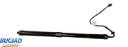 Gasfeder, Koffer-/Laderaum beidseitig BUGIAD BRD50767