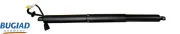 Gasfeder, Koffer-/Laderaum beidseitig BUGIAD BRD50774