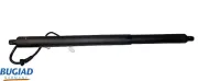 Gasfeder, Koffer-/Laderaum hinten links BUGIAD BRD50795