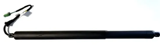 Gasfeder, Koffer-/Laderaum hinten rechts BUGIAD BRD50796 Bild Gasfeder, Koffer-/Laderaum hinten rechts BUGIAD BRD50796