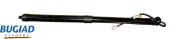 Gasfeder, Koffer-/Laderaum beidseitig BUGIAD BRD50801