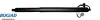 Gasfeder, Koffer-/Laderaum hinten links BUGIAD BRD50804