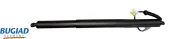Gasfeder, Koffer-/Laderaum hinten links BUGIAD BRD50805