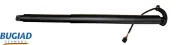 Gasfeder, Koffer-/Laderaum hinten links BUGIAD BRD50807
