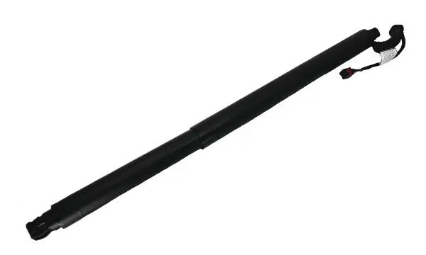 Gasfeder, Koffer-/Laderaum hinten rechts BUGIAD BRD50808