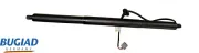 Gasfeder, Koffer-/Laderaum BUGIAD BRD50809