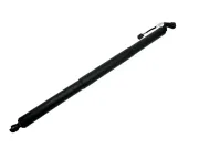 Gasfeder, Koffer-/Laderaum Fahrzeugheckklappe BUGIAD BRD50834