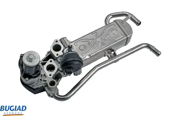 AGR-Ventil BUGIAD BSP25011