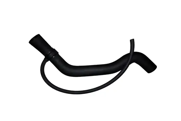 Kühlerschlauch BUGIAD BSP25038