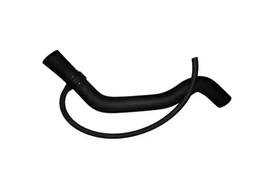 Kühlerschlauch BUGIAD BSP25038 Bild Kühlerschlauch BUGIAD BSP25038