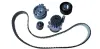 Wasserpumpe + Zahnriemensatz BUGIAD BTB56505