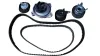 Wasserpumpe + Zahnriemensatz BUGIAD BTB56506