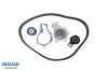 Wasserpumpe + Zahnriemensatz BUGIAD BTB56522