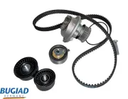 Wasserpumpe + Zahnriemensatz BUGIAD BTB56549