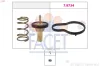 Thermostat, K&uuml;hlmittel FACET 7.7990