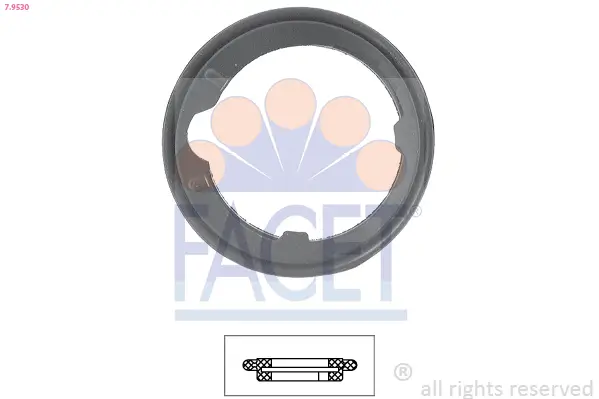 Dichtung, Thermostat FACET 7.9530