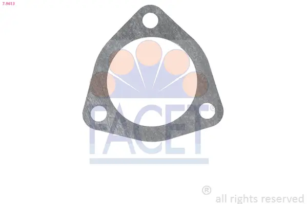 Dichtung, Thermostat FACET 7.9613