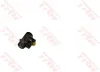 Radbremszylinder Hinterachse TRW BWC258 Bild Radbremszylinder Hinterachse TRW BWC258