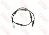 Sensor, Raddrehzahl Hinterachse TRW GBS159