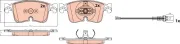 Bremsbelagsatz, Scheibenbremse Vorderachse TRW GDB2568