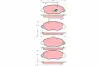 Bremsbelagsatz, Scheibenbremse Vorderachse TRW GDB3354