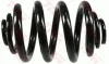 Fahrwerksfeder Hinterachse TRW JCS108