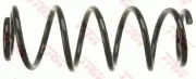 Fahrwerksfeder Hinterachse TRW JCS1165