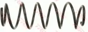 Fahrwerksfeder Hinterachse TRW JCS1198
