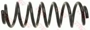 Fahrwerksfeder Hinterachse TRW JCS1362