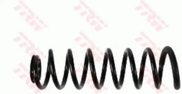 Fahrwerksfeder Hinterachse TRW JCS198