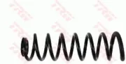 Fahrwerksfeder Hinterachse TRW JCS198